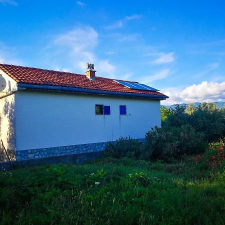 Ecohouse Oliveglia Villa Silo  Ngoại thất bức ảnh