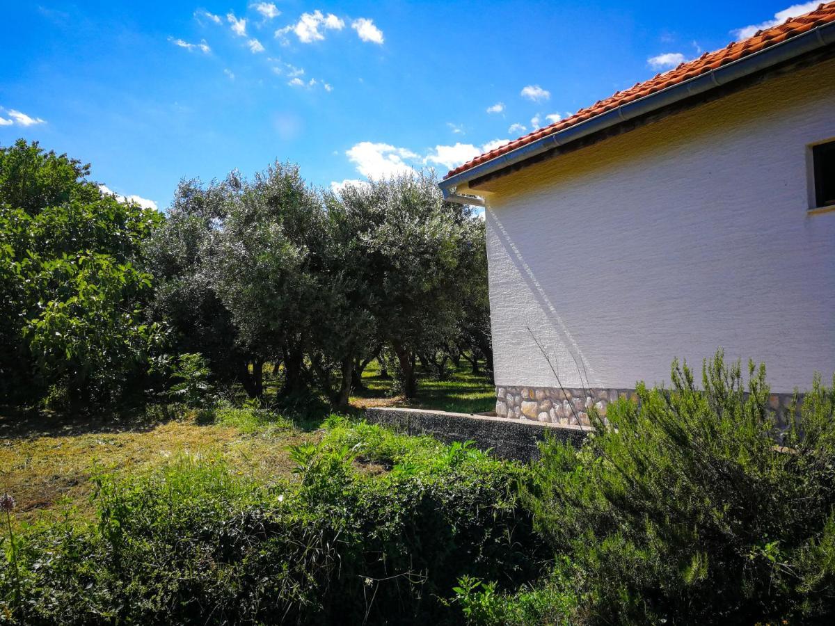 Ecohouse Oliveglia Villa Silo  Ngoại thất bức ảnh